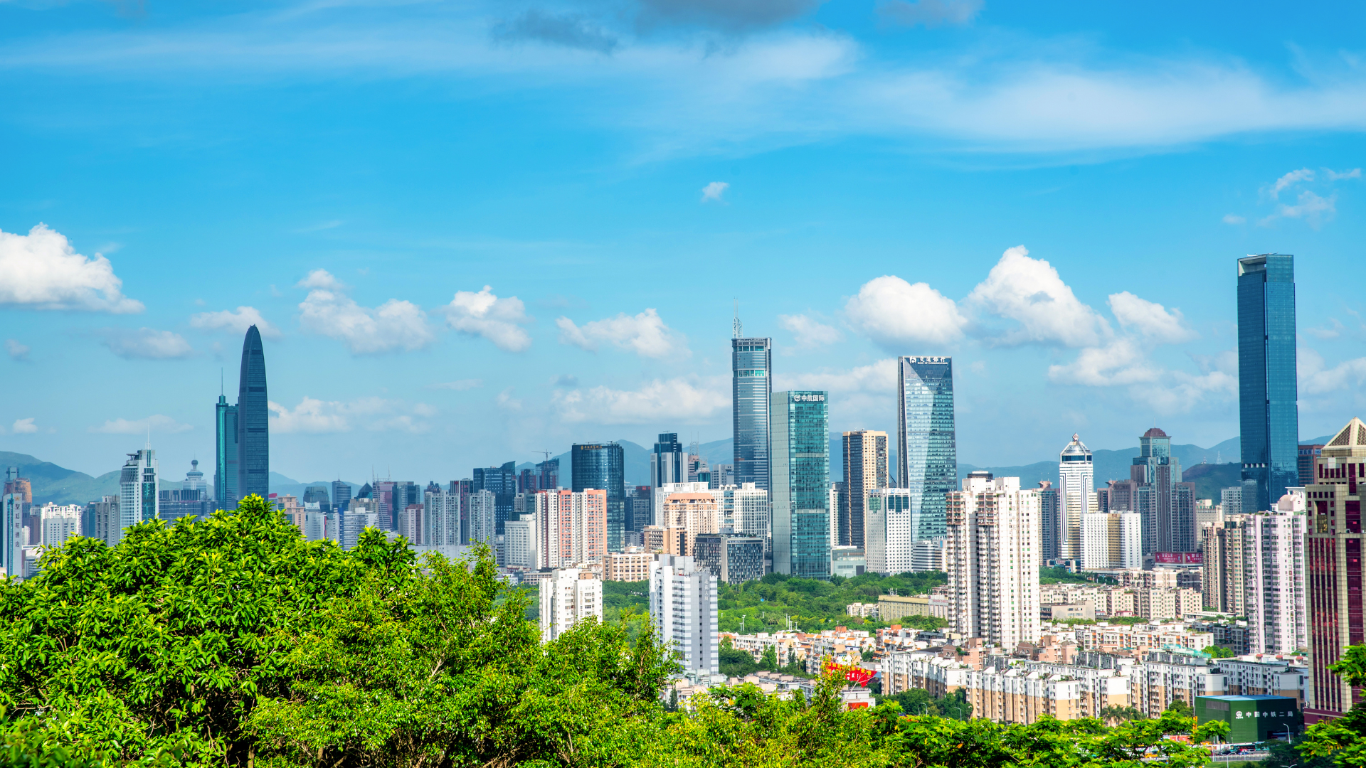 手前に広がる豊かな木々の緑と、その奥に広がる近代的な高層ビル群の街並み、青空が調和した都会のパノラマ風景写真